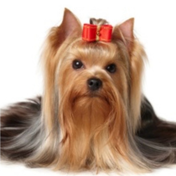 Dog/Puppy Straw Topper, Cups 30/40 oz. Fits 10mm straw, NEW - Picture 7 of 8